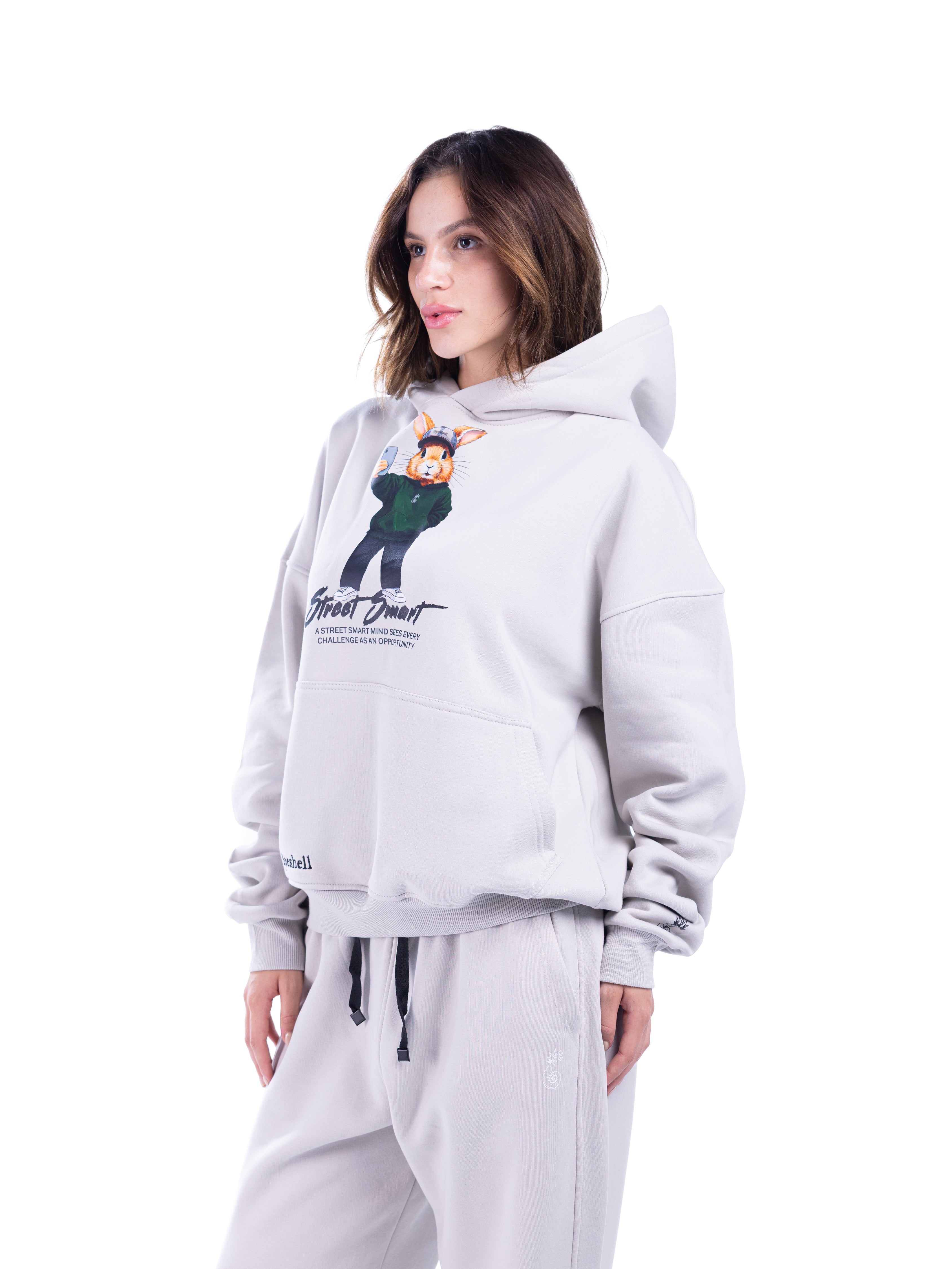SILVER HOODIE SET